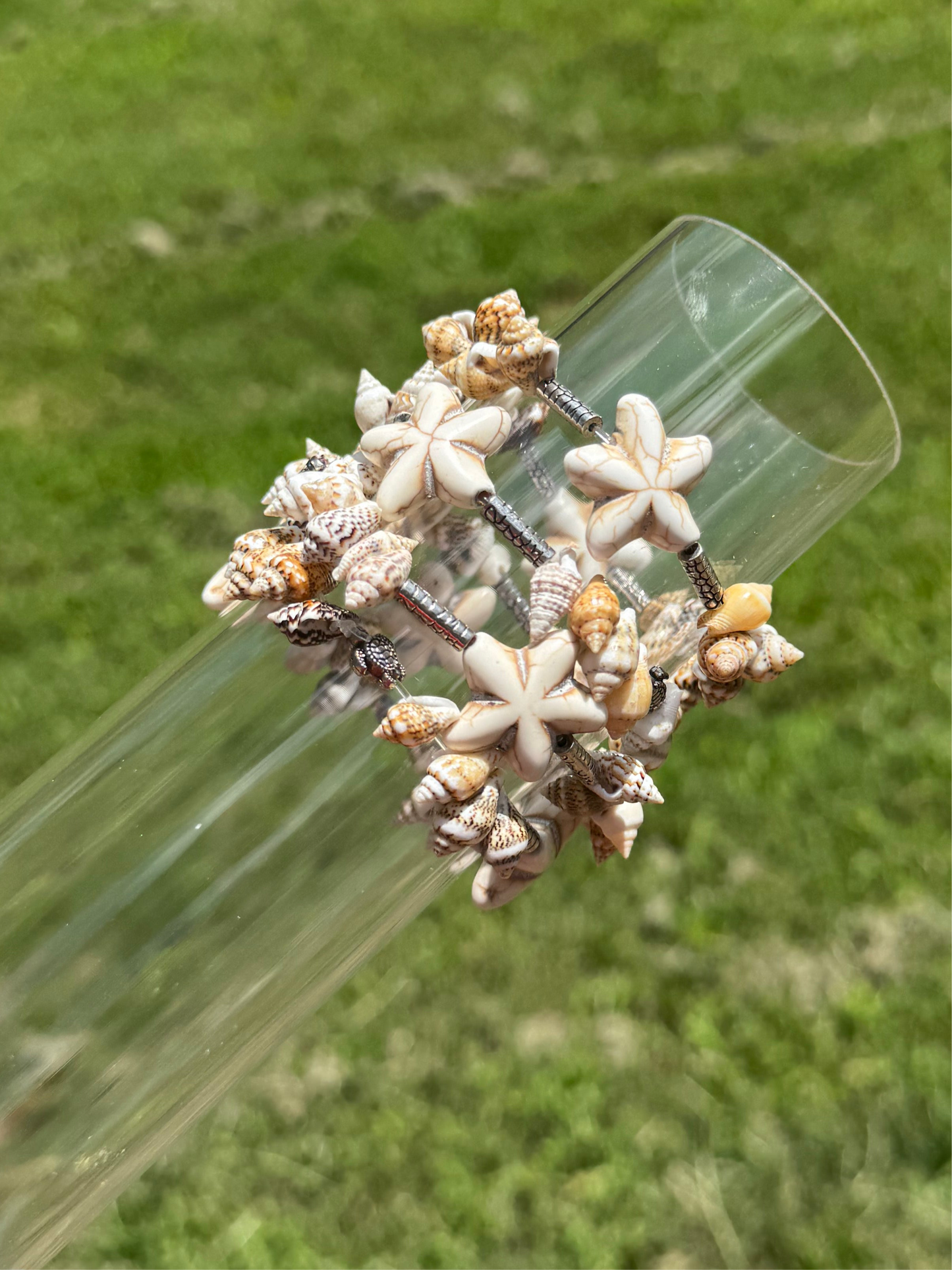 Shells, Turtles and more shells